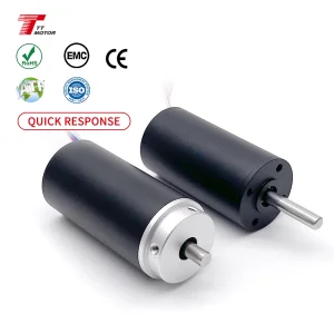 28mm High Torque Electric BLDC Motor 12V 24V Coreless Dc Motor Used In Robotics