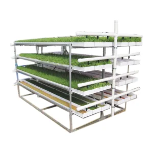 Agricultural Indoors Storage Rack Shelving Hydroponic Mobile Rolling Grow Racks for Microgreen Grass