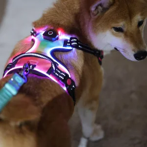 Custom Logo LED Dog Harness, USB Rechargeable No Pull Reflective Heavy Duty Dog Vest for Large Dogs, Light up Safety Pet Harness OEM/ODM