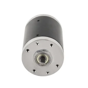 L6290 DC Motor
