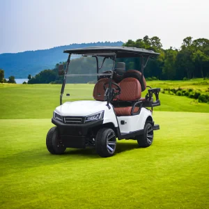 Cengo 4 Seater Electric Golf Cart DOT Certified 48V Ultra Long Range 4 Seater Golf Cart (Course/Resort Transportation) ...