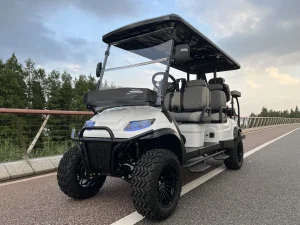 OEM Cheap Price 4+2 Seater off Road Golf Cart