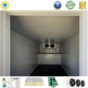 Freezer Container Condensing Unit