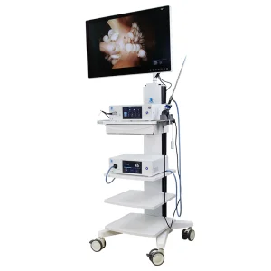 Hot Selling Portable Ent Endoscope Camera System with Light Source Mdr CE