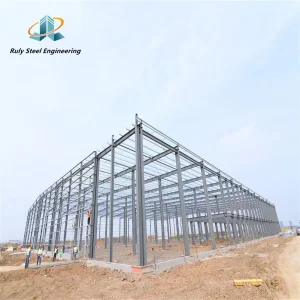 Spacious and Sturdy Retail Space Steel Structure Shopping Center