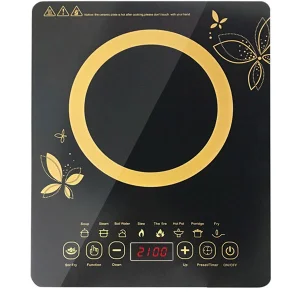 Mini Induction Cooker