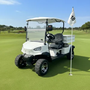 Effortless Course Management Golf Cart Dune Buggy with GPS Fleet Tracking 3-4 Seats 90km Range
