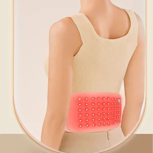 LED Belt