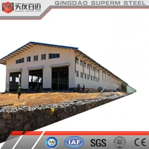 Steel Structure Workshop with Crane for Tire/Marble/Slaughter/Steel Production and Processing
