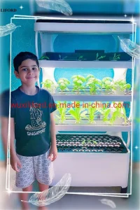 Greenhouse Equipment Small Home Gardening Vertical Hydroponics System
