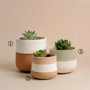 Cheap Multi-Color Overlapping Ceramic Pots – Stylish Indoor Planters VDLK2403878 Supplier, Factory