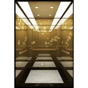 Mrl 1000kg 1.75m/S Machine Roomless Passenger Elevator