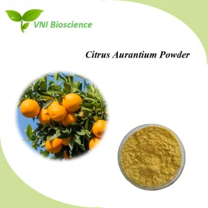 Certificado ISO Kosher 100% Polvo de Fruta de Vitamina C Natural Polvo de Citrus Aurantium