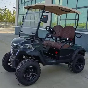TongCai Electric Golf Cart