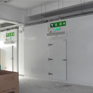 High Quality Walk in Cold Storage Room