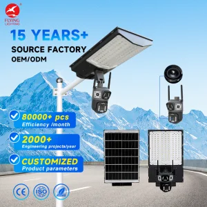 Solar Street Light Dual CCTV Camera