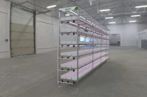 Reinfa Precision Anti-Clogging Drip Irrigation Solution for Vertical Hydroponic Strawberry Farming