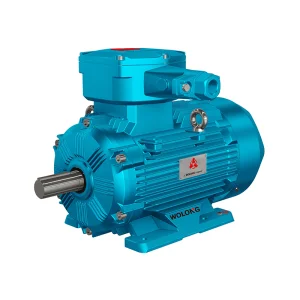 Wolong Nanyang YBX3 motor