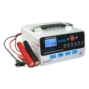 Intelligent Repair of 12V and 24V on-Board AGM Lead-Acid Battery Chargers