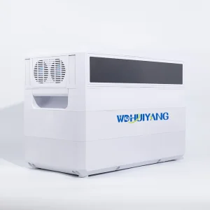 Welldone Battery 12V