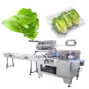 Automatic Horizontal Cake Vacuum Package Machine Vegetables Soap Bread Chicken Sealing Machines for Packaging Food