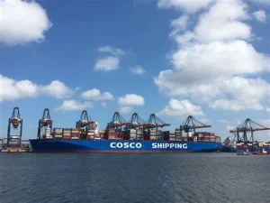 Sea Shipping Service Sea Freight From Guangzhou, Ningbo, Shanghai, Xiamen, Qingdao to Algiers, Algeria