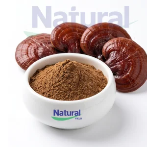Organic Reishi Mushroom Extract