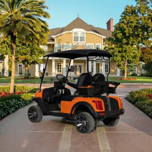 Customized 2 Seaters Vintage Golf Cart
