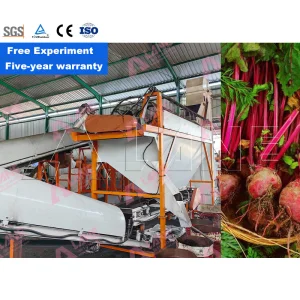 Organic Fertilizer Production Line