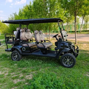 Carrinho de Golfe 60V 100ah