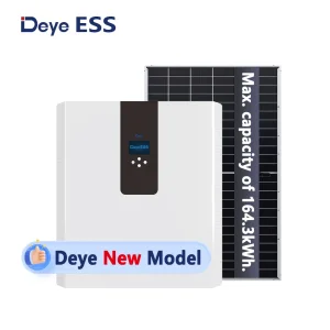 Deye Ess RW-F5.3-2h3 Entrega Rápida