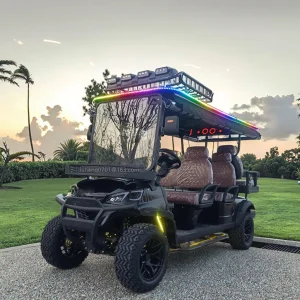 72V Lithium Golf Cart