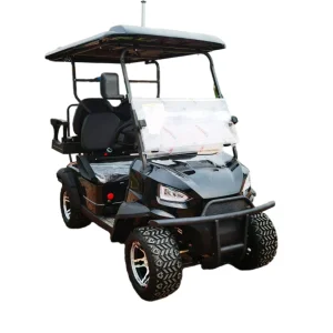Vehículo Eléctrico de Golf Ligero 2+2 para Movilidad Suave y Silenciosa en Áreas