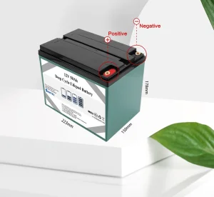سماعتك OEM EV 12V