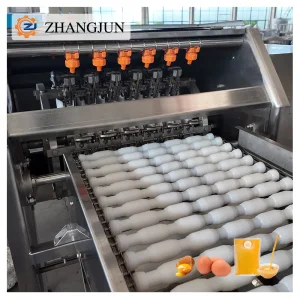 Advanced Egg Liquid Processing Equipment for Food Manufacturing