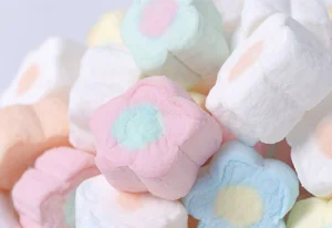 Gelatina Gelatina Gelatina Fábrica Mayorista Bajo Precio Gelatina de Pescado Sin Sabor Aditivos Alimentarios CAS9000-70-8