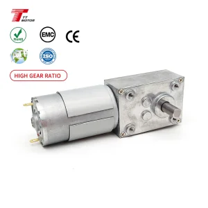 Hot Sale 555 Worm Gear Motor TWG4058-555PM 5rpm 10rpm 20rpm Permanent Magnet 12v 24v High Torque Worm Geared Electric Motor