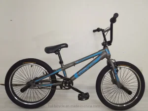 BMX Bike