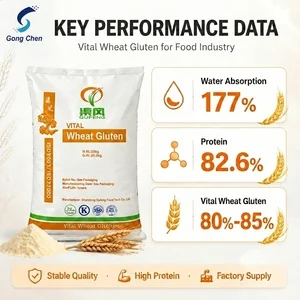 Southeast Asia Market Grade Vital Wheat Gluten In Stock Food Grade 25kg Bag