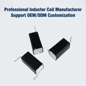 Custom Trigger Transformer 12kv Ignition Coil