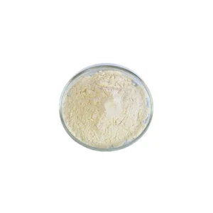 Bulk Price Pumpkin Seed Extract