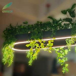 Oval Biophilic LED