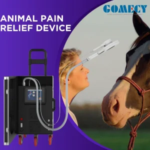 Water Cooled Magnetic Therapy Device for Animals Veterinary Pulsed Magnetic Therapy System