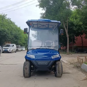 OEM/ODM 48V/60V/72V 2 4 6 8 Seater Electric Golf Car Lead Acid/Lithium Battery/Solar Panels Golf Carts