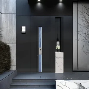 Luxury Exterior Door