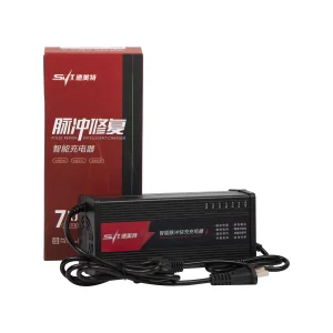 Own Brand 60V20ah AGM Gel Lead-Acid Battery Charger for Electric Bicycle Motorcycle