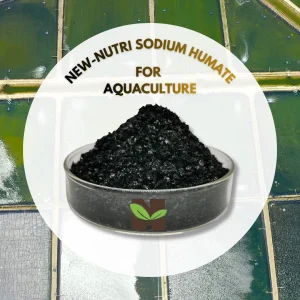Organic Sodium Humate Flakes for Sustainable Aquaculture Feeding Nutritional Support