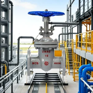 Origin Carbon Steel Flange Gate Valve for Water, Oil, Gas