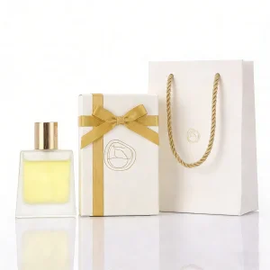 Luxury Frosted Glass Bottle 50ml 100ml Custom Empty Square Perfume Bottle with Box Packaging