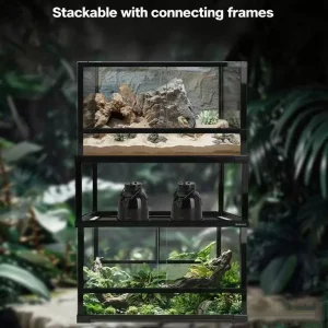 Professional Reptile Terrarium